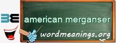 WordMeaning blackboard for american merganser